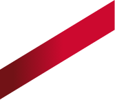 Section background detail